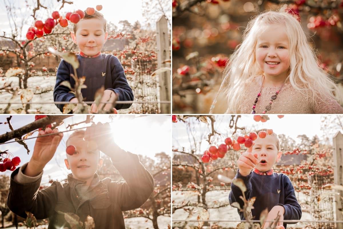 autumn family portraits