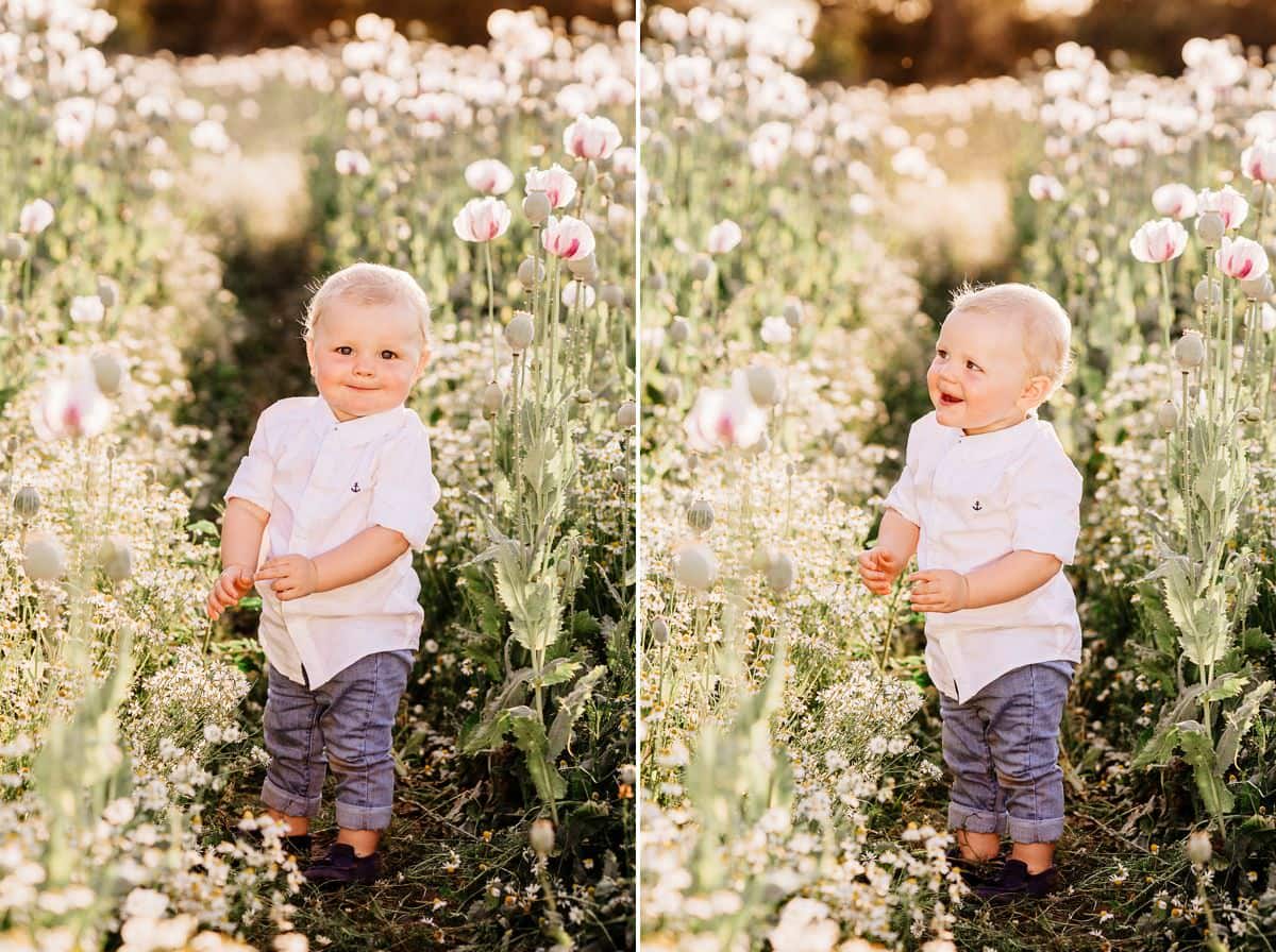 family photos in poppy fields
