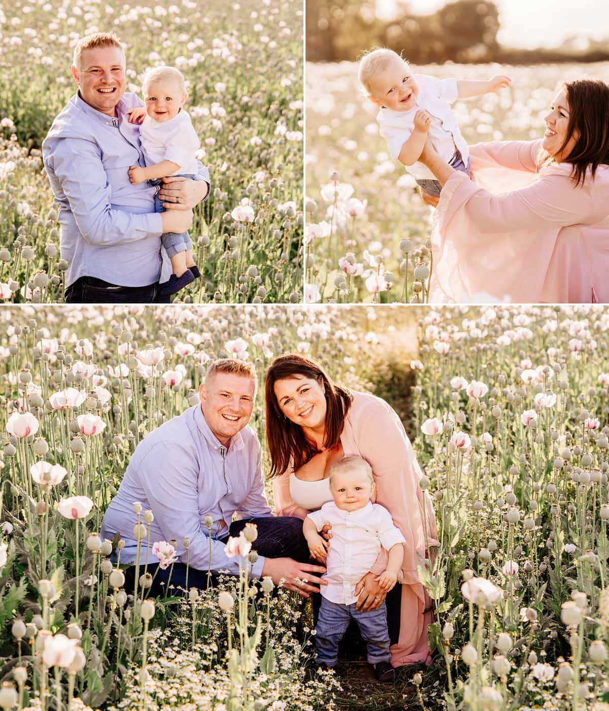 family photos in poppy fields