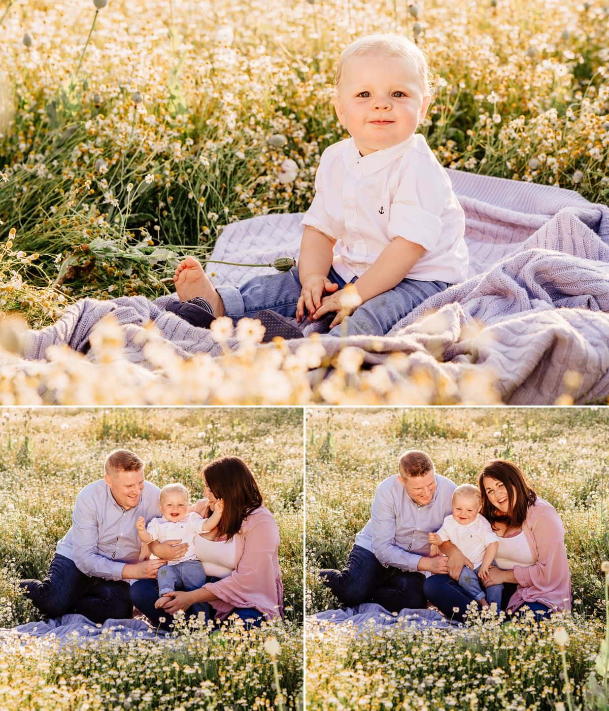 family photos in poppy fields