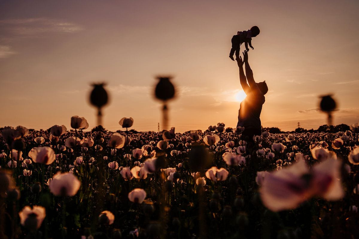 family photos sunset poppy fields