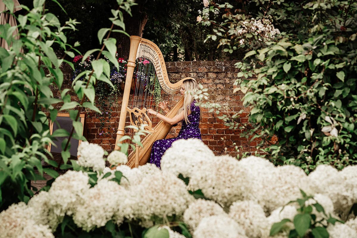 wedding harpist
