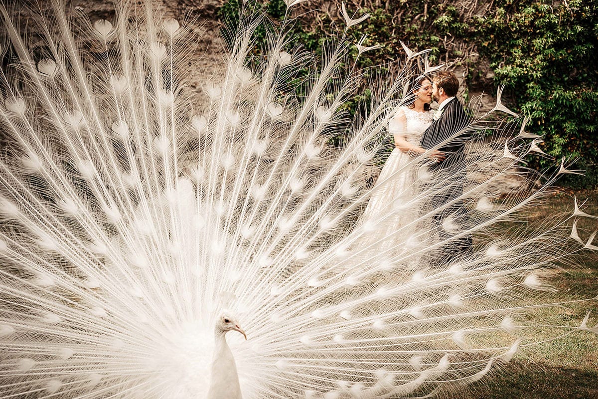 Best Hampshire Wedding Photographer